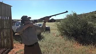 Post 7 by Billy Birdzell on YouTube (video)