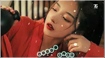 Post 4 by Tuan Beat on YouTube (video)