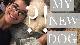 Post 2 by Sammie DeMaria on YouTube (video)