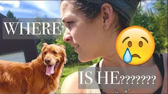 Post 3 by Sammie DeMaria on YouTube (video)