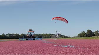 Post 9 by Jeff Provenzano on YouTube (video)