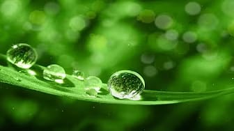 Post 4 by Soothing Relaxation on YouTube (video)