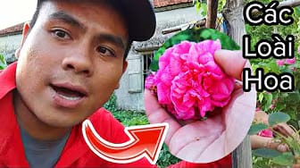 Post 3 by Huong Yoga on YouTube (video)
