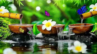 Post 10 by Relaxing Music on YouTube (video)