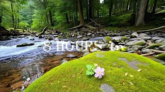 Post 6 by Melody Prey🌿 on YouTube (video)