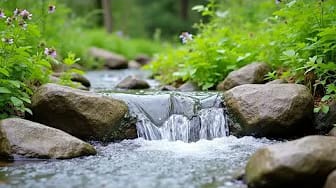 Post 3 by Melody Prey🌿 on YouTube (video)