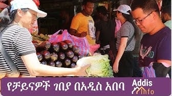 Post 7 by Addis Info on YouTube (video)