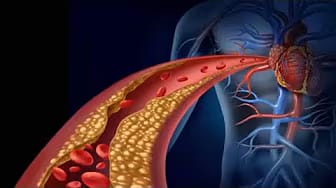 Post 4 by Siempre en salud on YouTube (video)