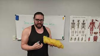 Post 3 by Master Trainer Brad Glaser on YouTube (video)