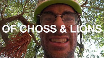 Post 8 by Alex Honnold on YouTube (video)