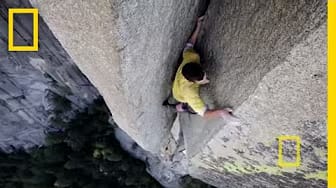 Post 2 by Alex Honnold on YouTube (video)
