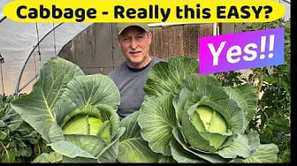 Post 4 by Complete Growing on YouTube (video)