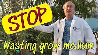 Post 2 by Complete Growing on YouTube (video)