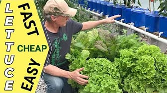 Post 1 by Complete Growing on YouTube (video)