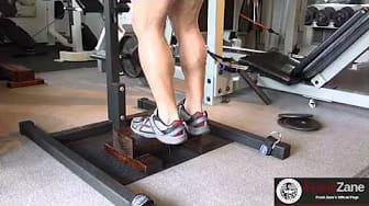 Post 4 by Frank Zane on YouTube (video)