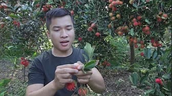 Post 2 by Bếp Quê Bên Sông on YouTube (video)