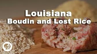 Post 4 by NOURISH on YouTube (video)