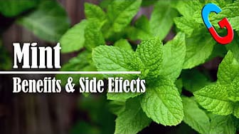 Post 2 by Good Health Geek on YouTube (video)