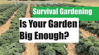 Post 9 by The Good Earth Farm Channel on YouTube (video)
