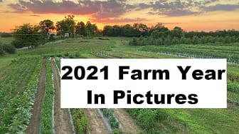 Post 5 by The Good Earth Farm Channel on YouTube (video)