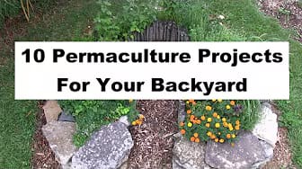 Post 2 by The Good Earth Farm Channel on YouTube (video)