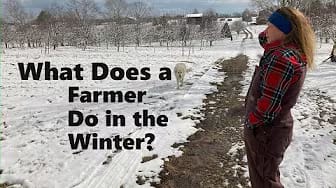Post 4 by The Good Earth Farm Channel on YouTube (video)