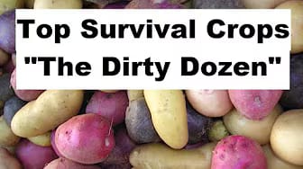 Post 3 by The Good Earth Farm Channel on YouTube (video)