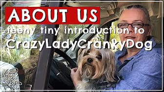Post 5 by CrazyLadyCrankyDog on YouTube (video)