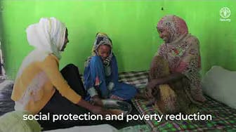 Post 9 by FAO Education Hub on YouTube (video)