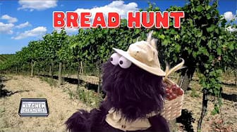 Post 1 by Kitchen Creatures on YouTube (video)