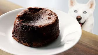 Post 7 by SunlessKitchen on YouTube (video)