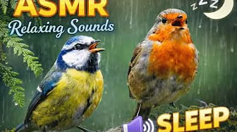Post 6 by ASMR HV on YouTube (video)