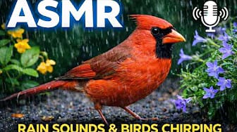 Post 4 by ASMR HV on YouTube (video)