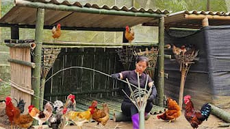 Post 7 by Triệu Dung on YouTube (video)