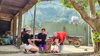 Post 6 by Triệu Dung on YouTube (video)