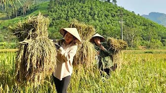 Post 1 by Triệu Dung on YouTube (video)