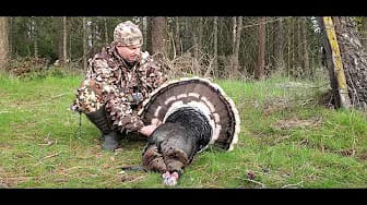 Post 6 by Pacific Northwest Bowhunting on YouTube (video)