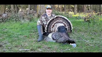 Post 4 by Pacific Northwest Bowhunting on YouTube (video)