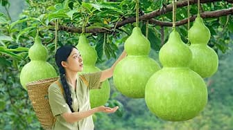 Post 1 by HUONG GIANG Green Life on YouTube (video)