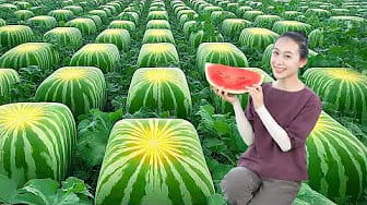 Post 9 by HUONG GIANG Green Life on YouTube (video)