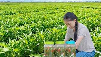 Post 7 by HUONG GIANG Green Life on YouTube (video)