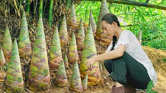 Post 6 by HUONG GIANG Green Life on YouTube (video)
