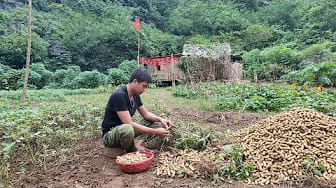 Post 2 by Deep Woods Farmer on YouTube (video)