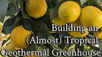 Post 4 by Threefold Farm on YouTube (video)
