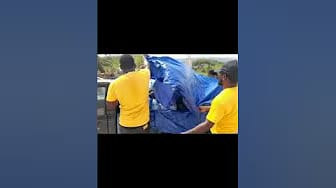 Post 3 by Golden Flower on YouTube (video)