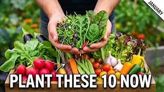 Post 6 by Unwritten Nature on YouTube (video)