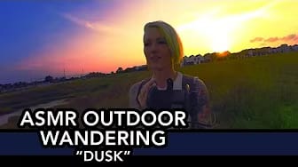 Post 3 by DreamingASMR on YouTube (video)