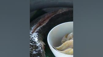 Post 1 by Tv Foods on YouTube (video)