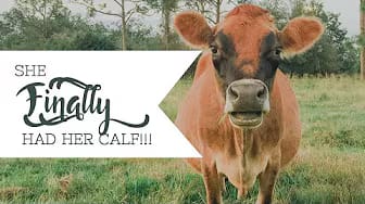 Post 4 by Our Organic Life on YouTube (video)