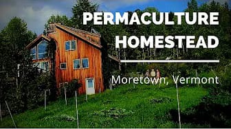 Post 5 by Homestead Launch on YouTube (video)